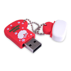 USB Flash Memory 